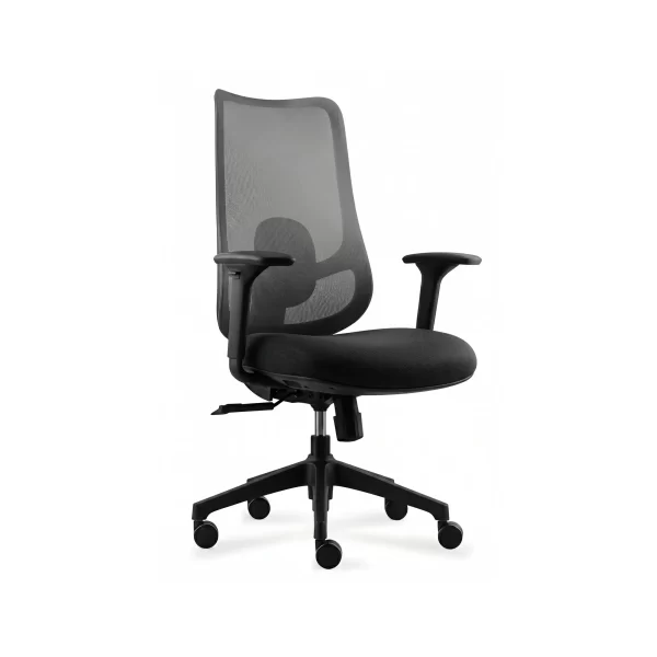 Silla Balance Negra